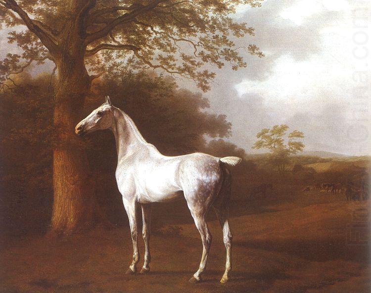 Jacques-Laurent Agasse White Horse in Pasture china oil painting image